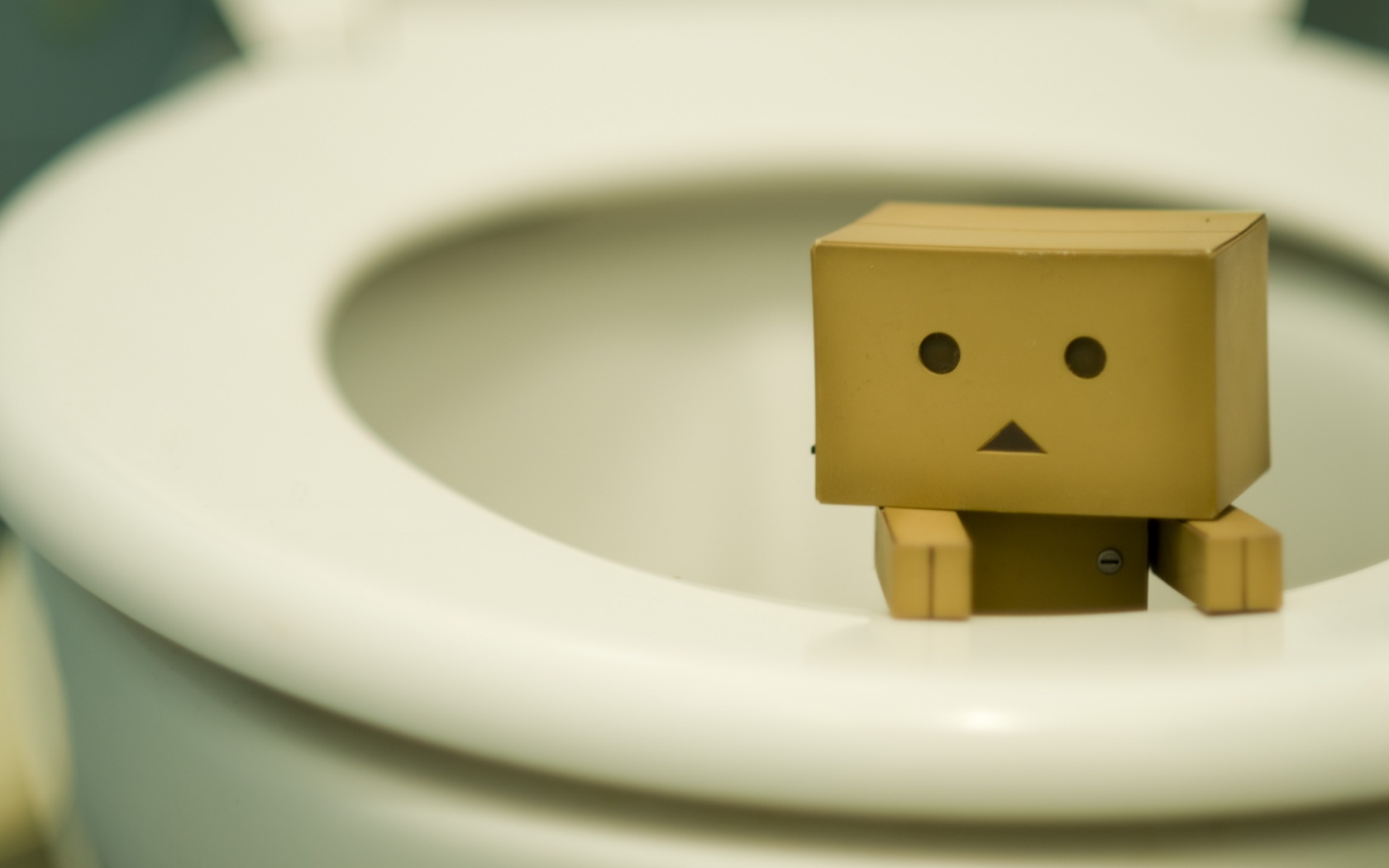 Danbo в унитазе обои