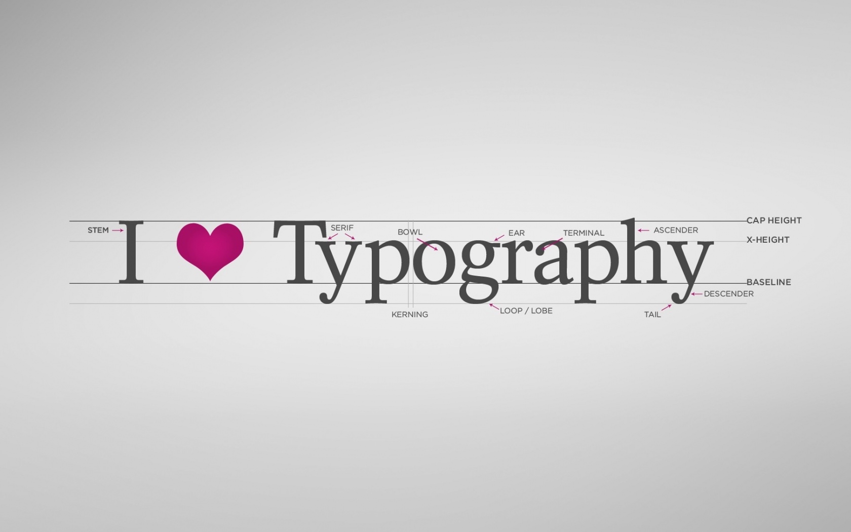 I love typography обои