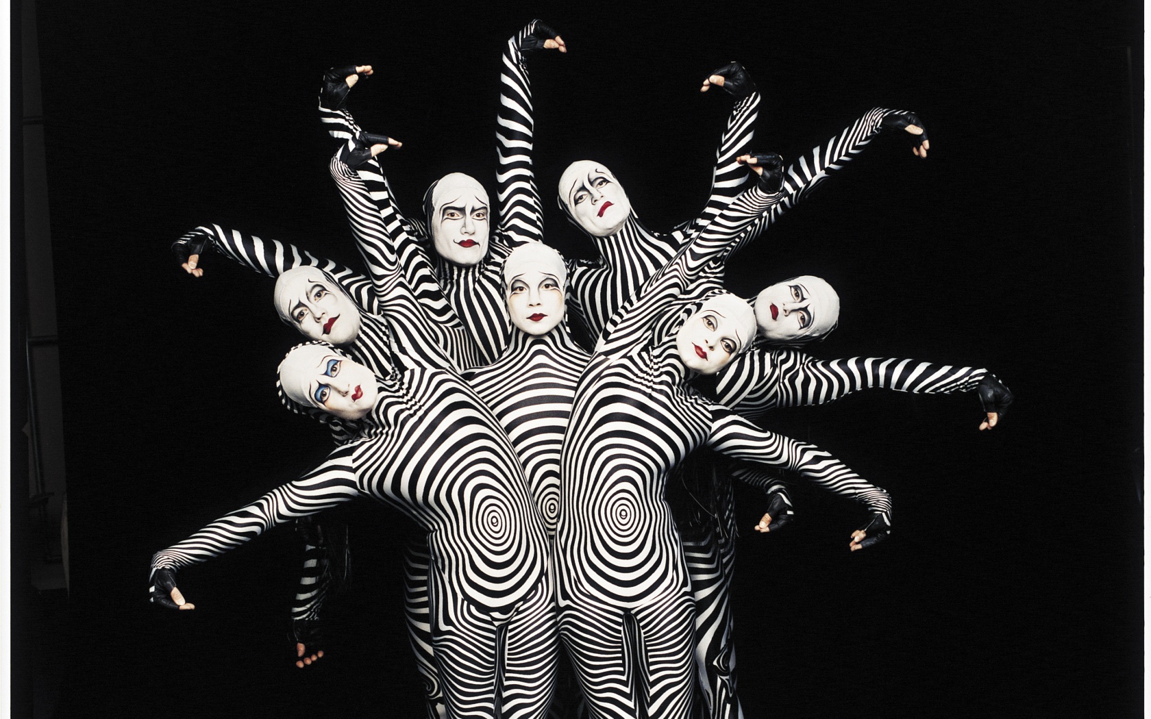 Зеброиды (актеры цирка дю солей) обои