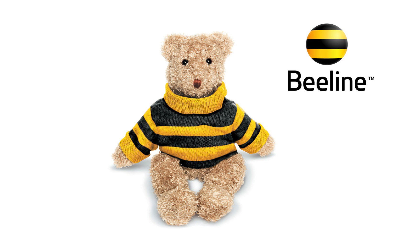 Мишка beeline обои