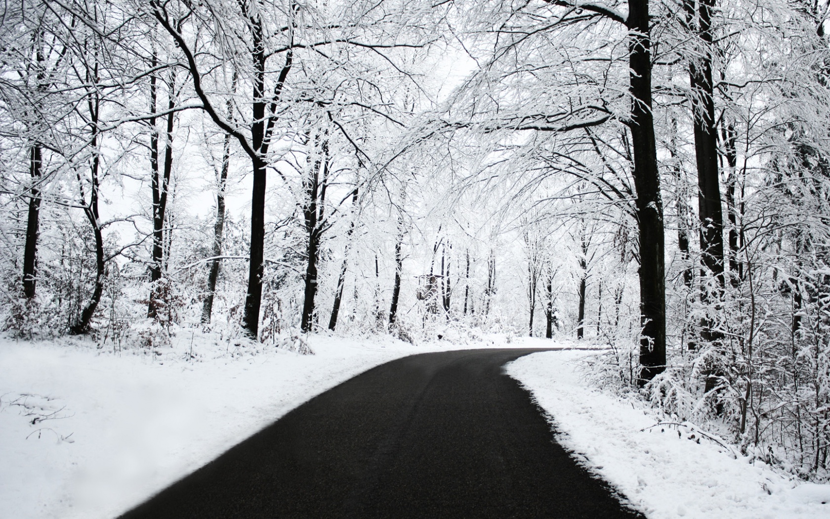 Дорога в зимнем лесу обои