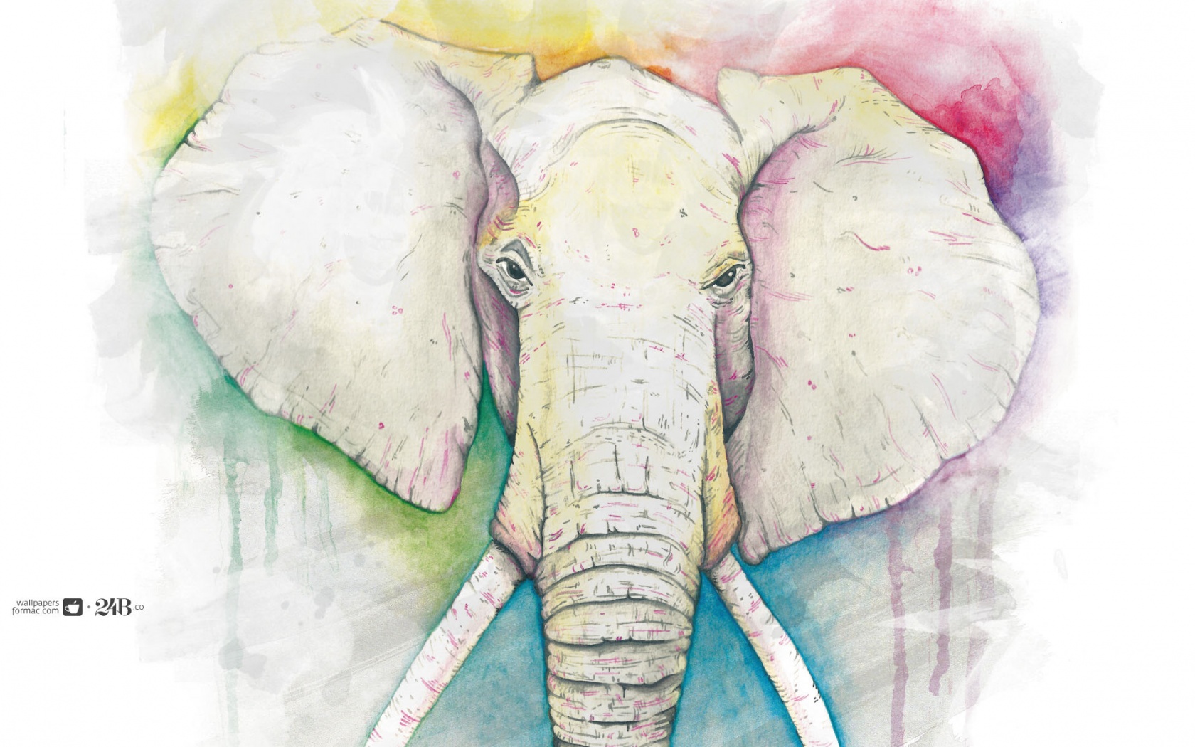 Слон обои