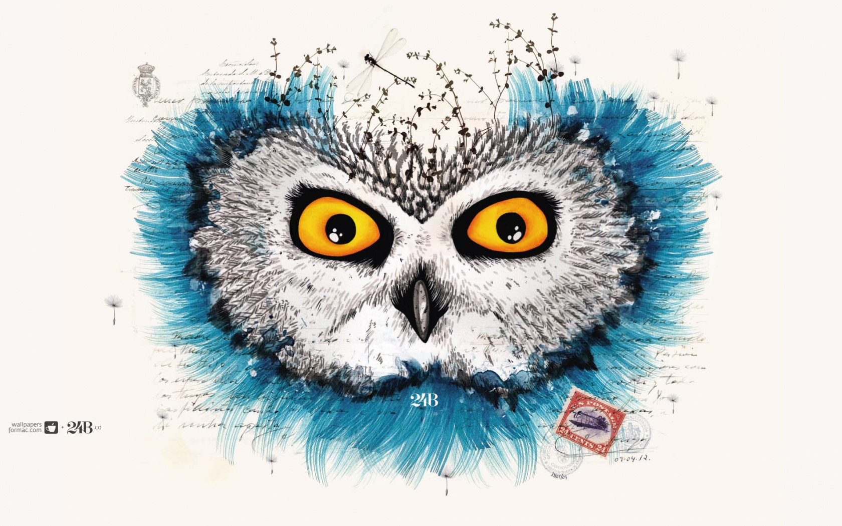 Обои сова для mac book обои