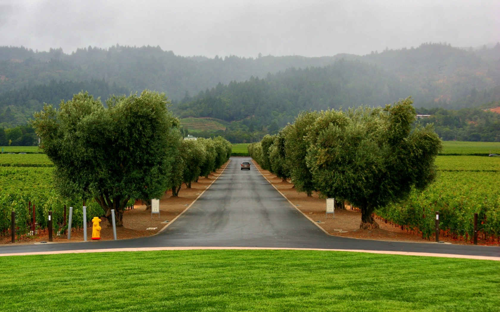 Сельский пейзаж обои