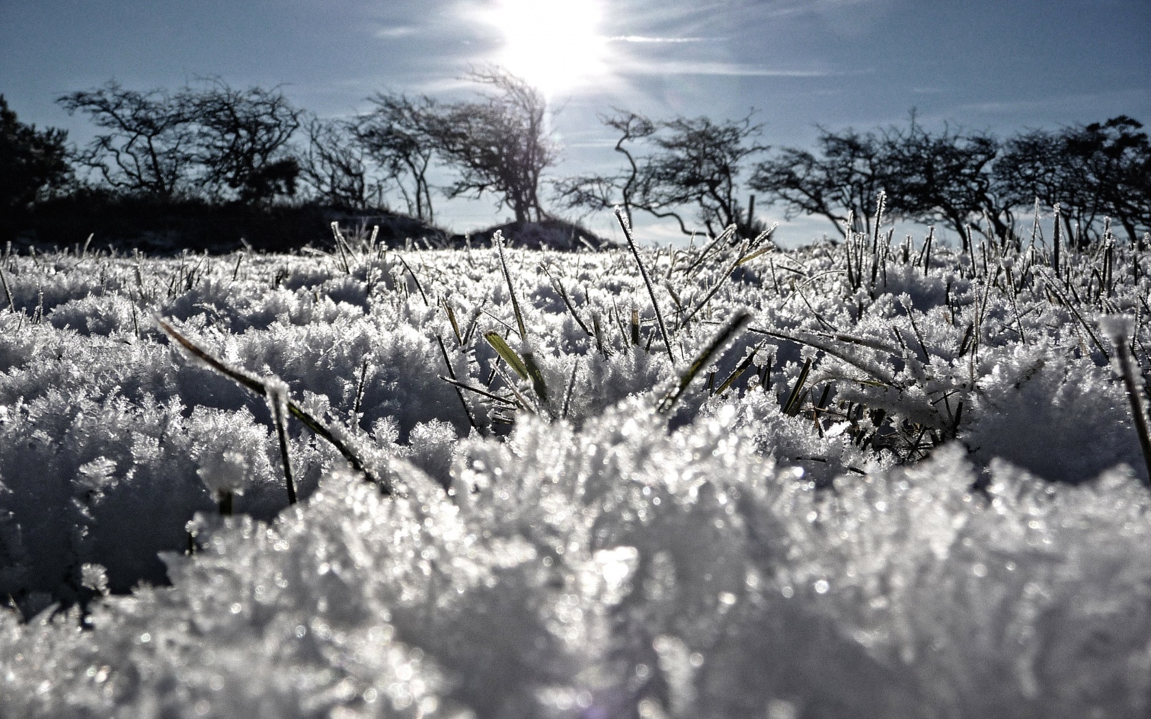 Утренний мороз обои