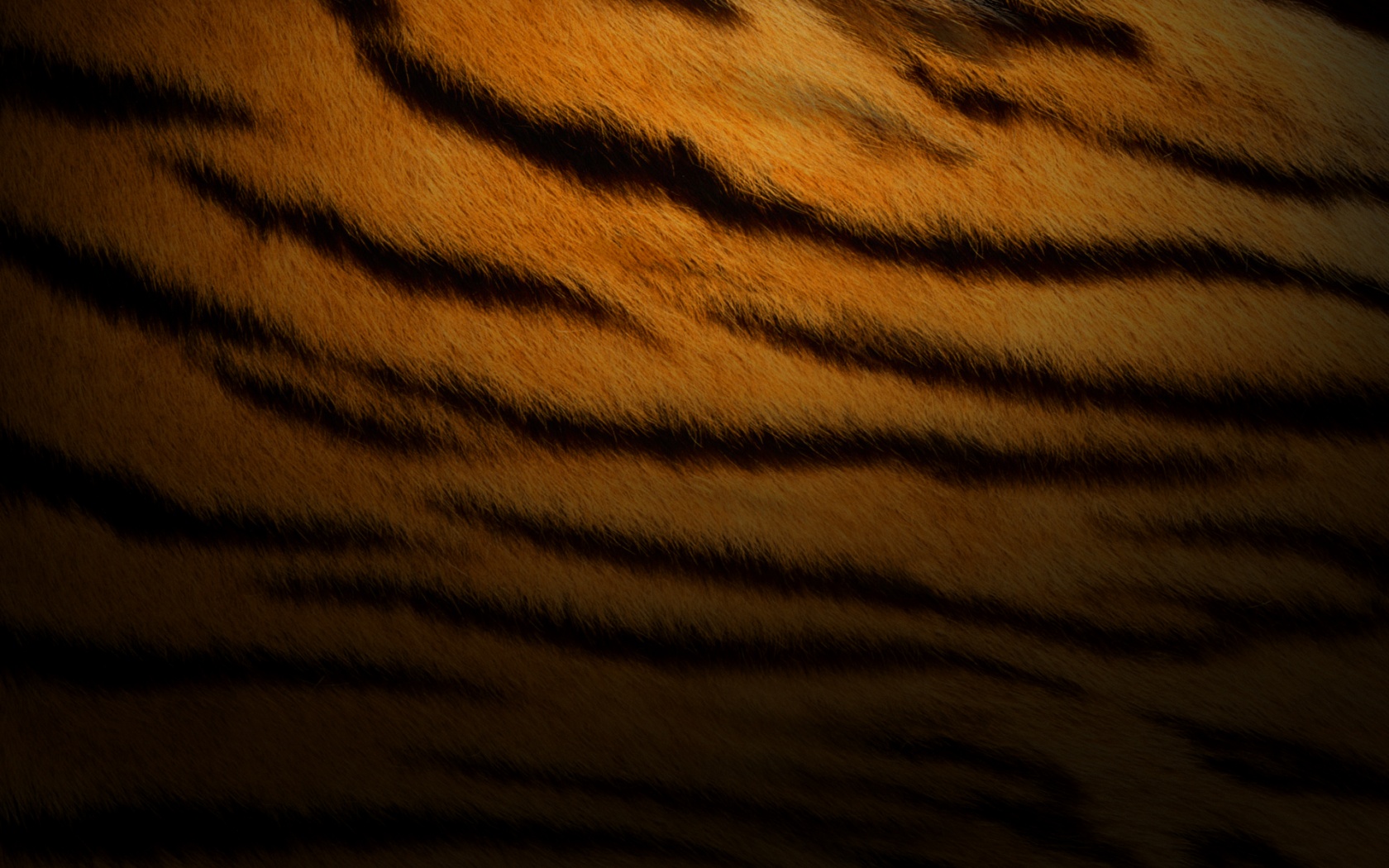 Тигриная шкура обои