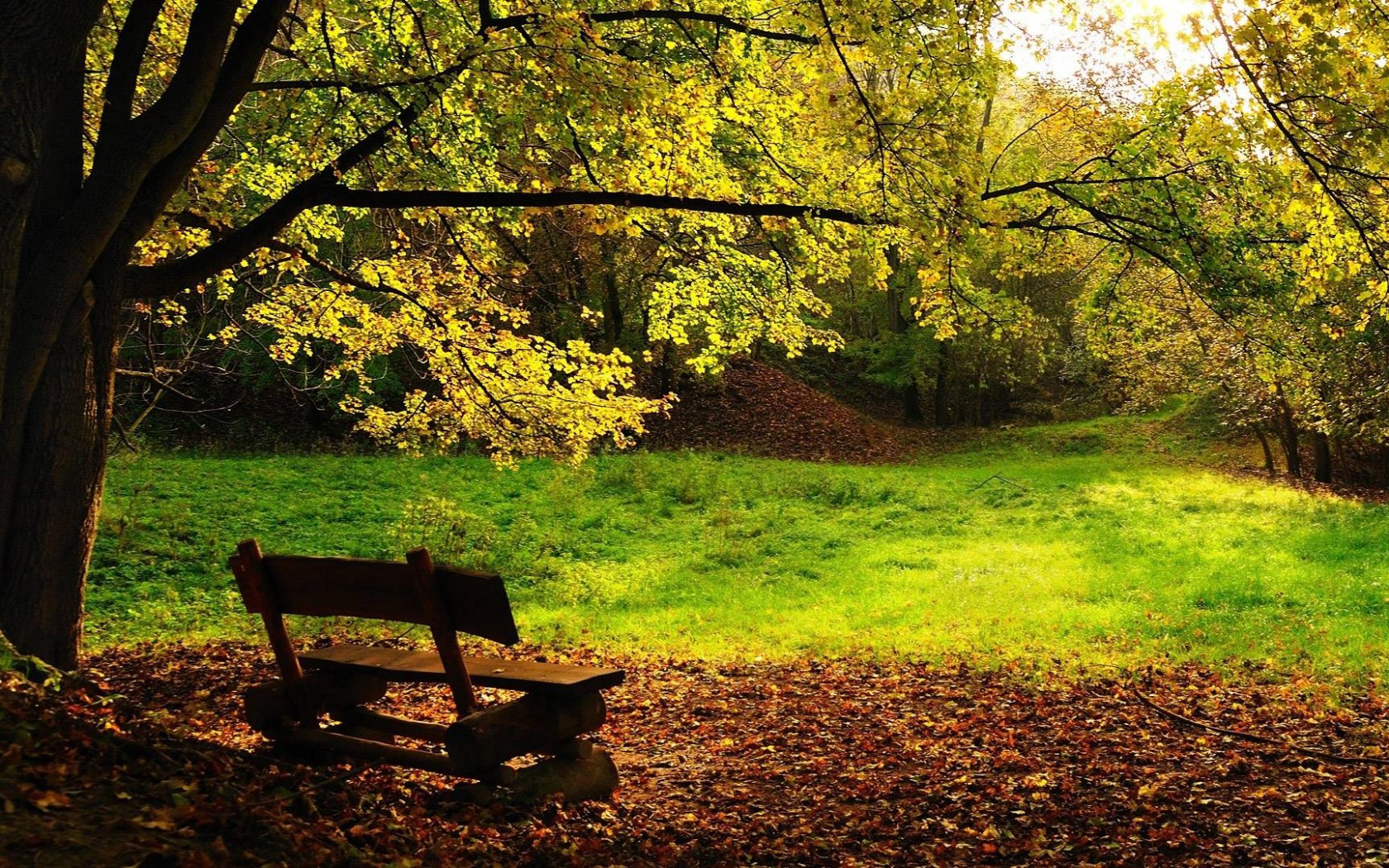 Скамейка под деревом обои