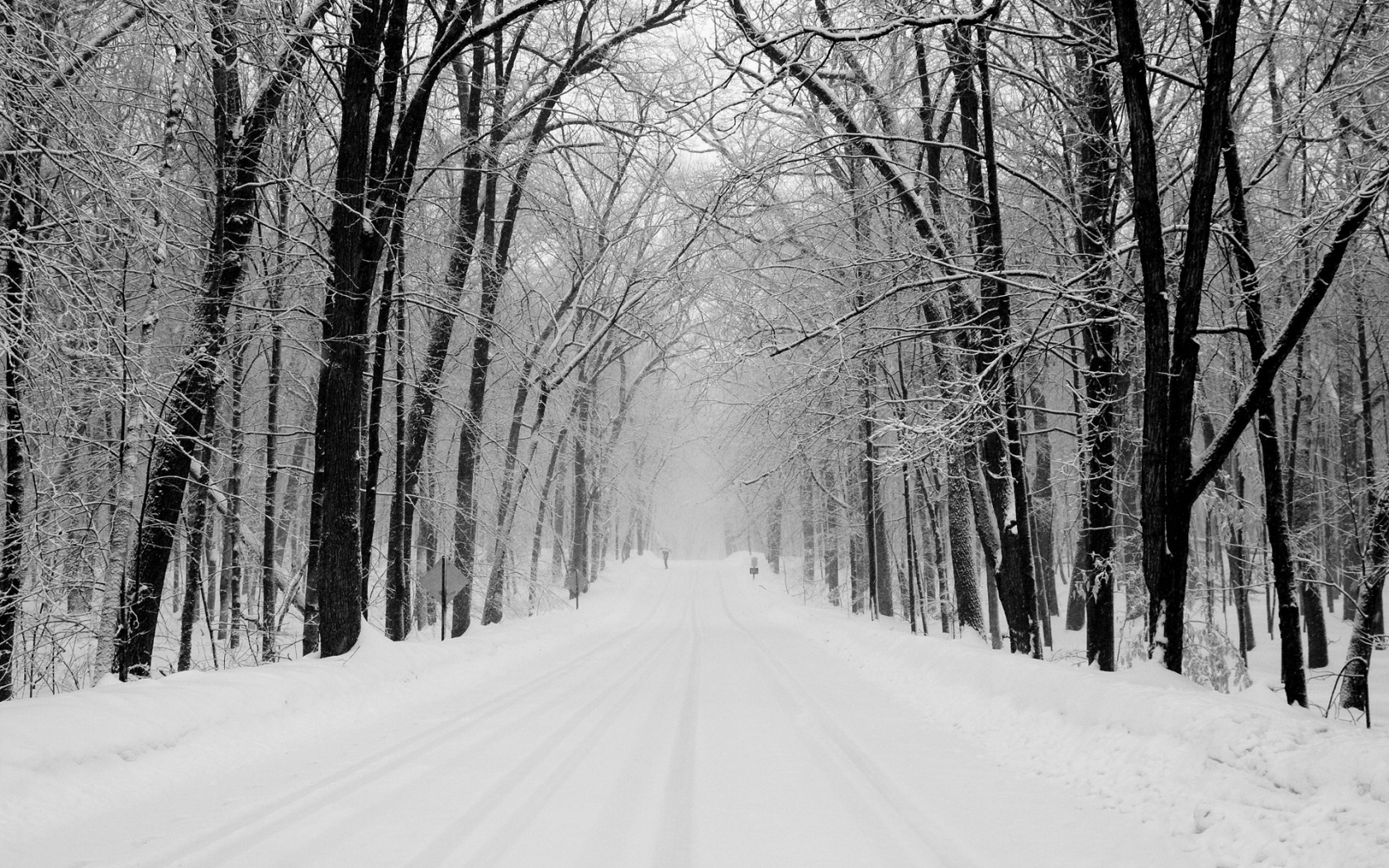 Дорога зимой в парке обои