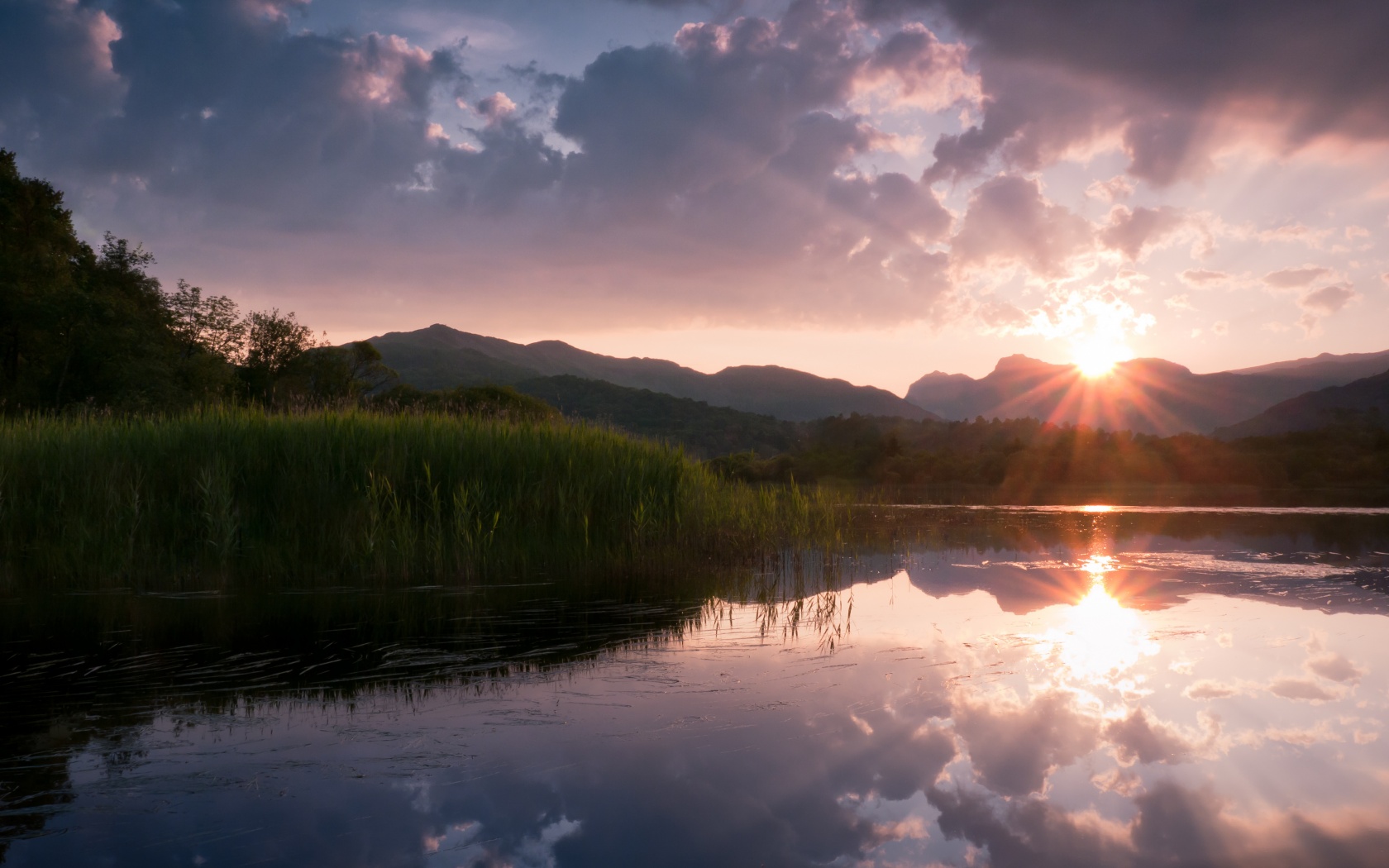 Закат за лесом обои