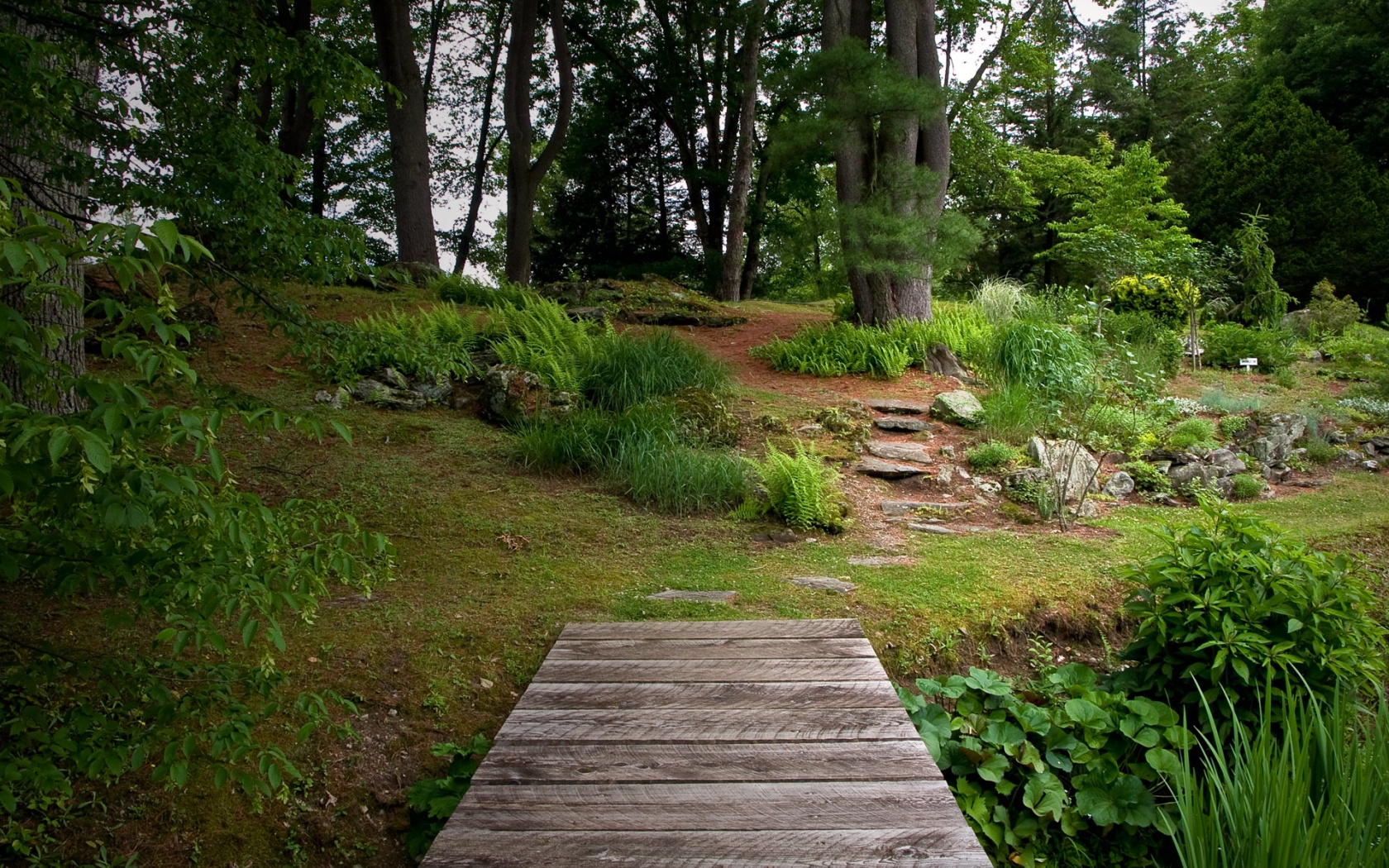 Лесные тропы обои