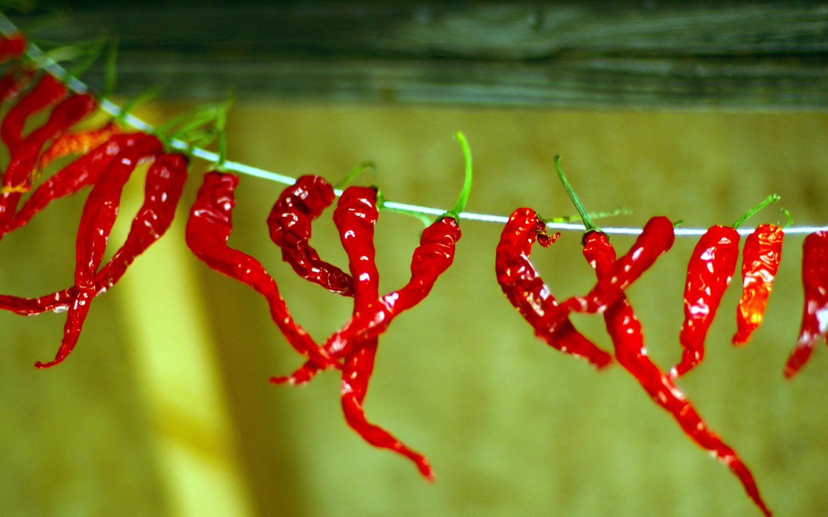Перчики чили обои