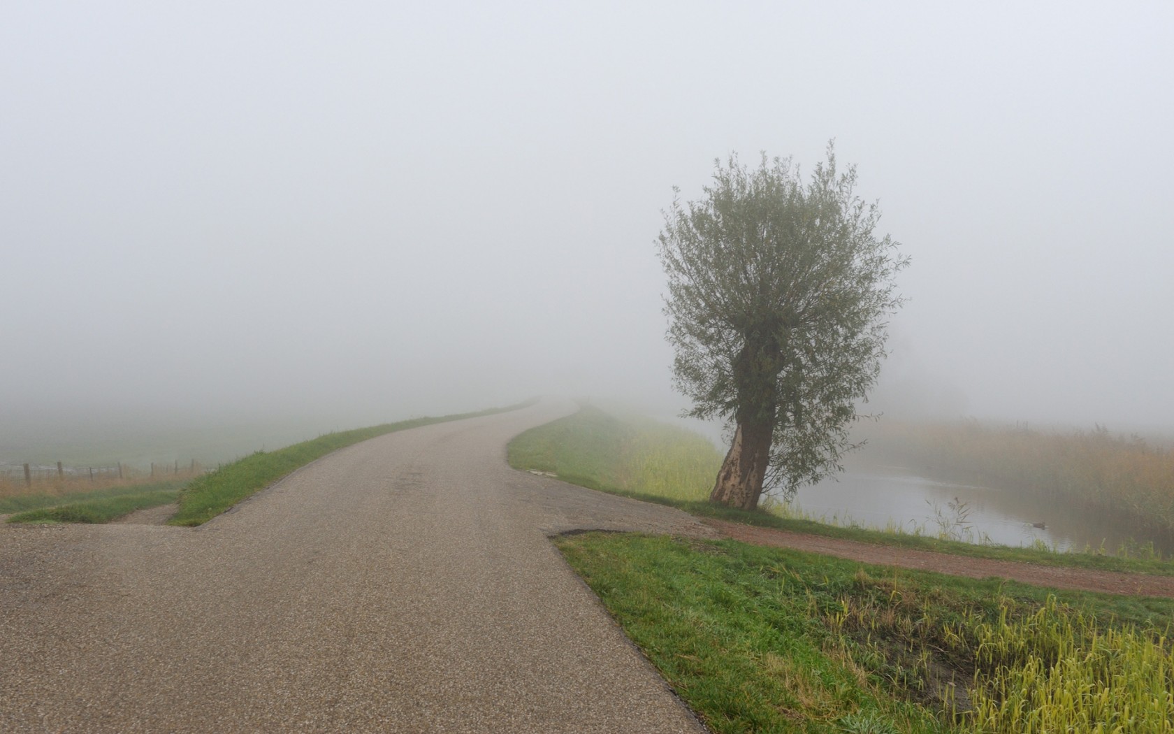 Дорога растворяется в тумане обои