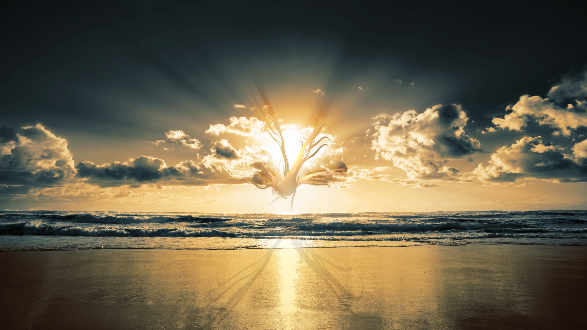 Абстрактные перья на фоне заката обои