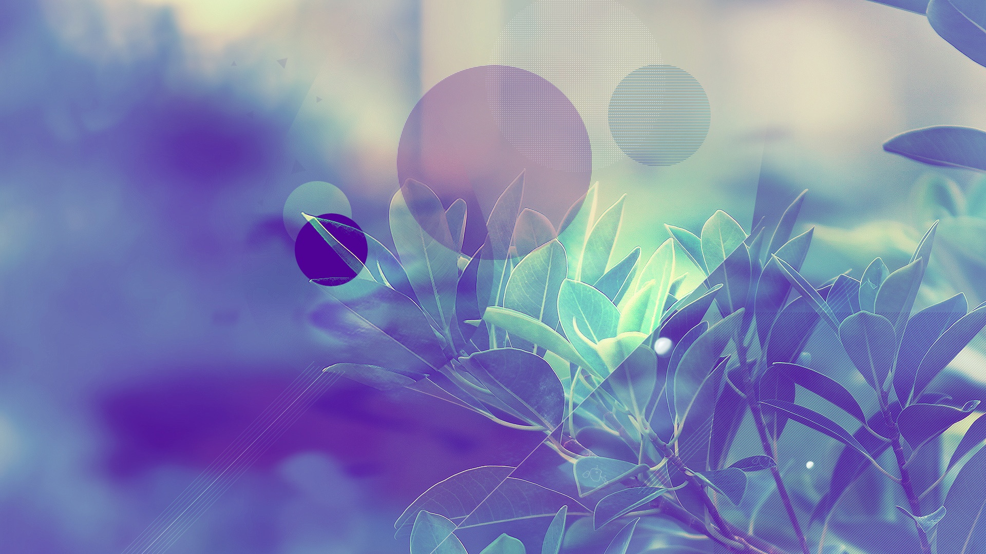 Синий фильтр с кргуами на фото листьев обои