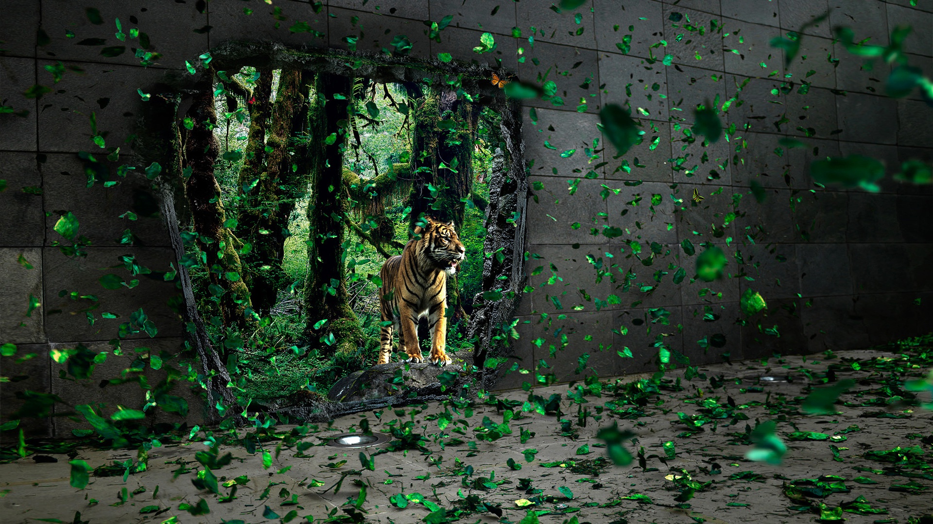 Портал в джунги обои