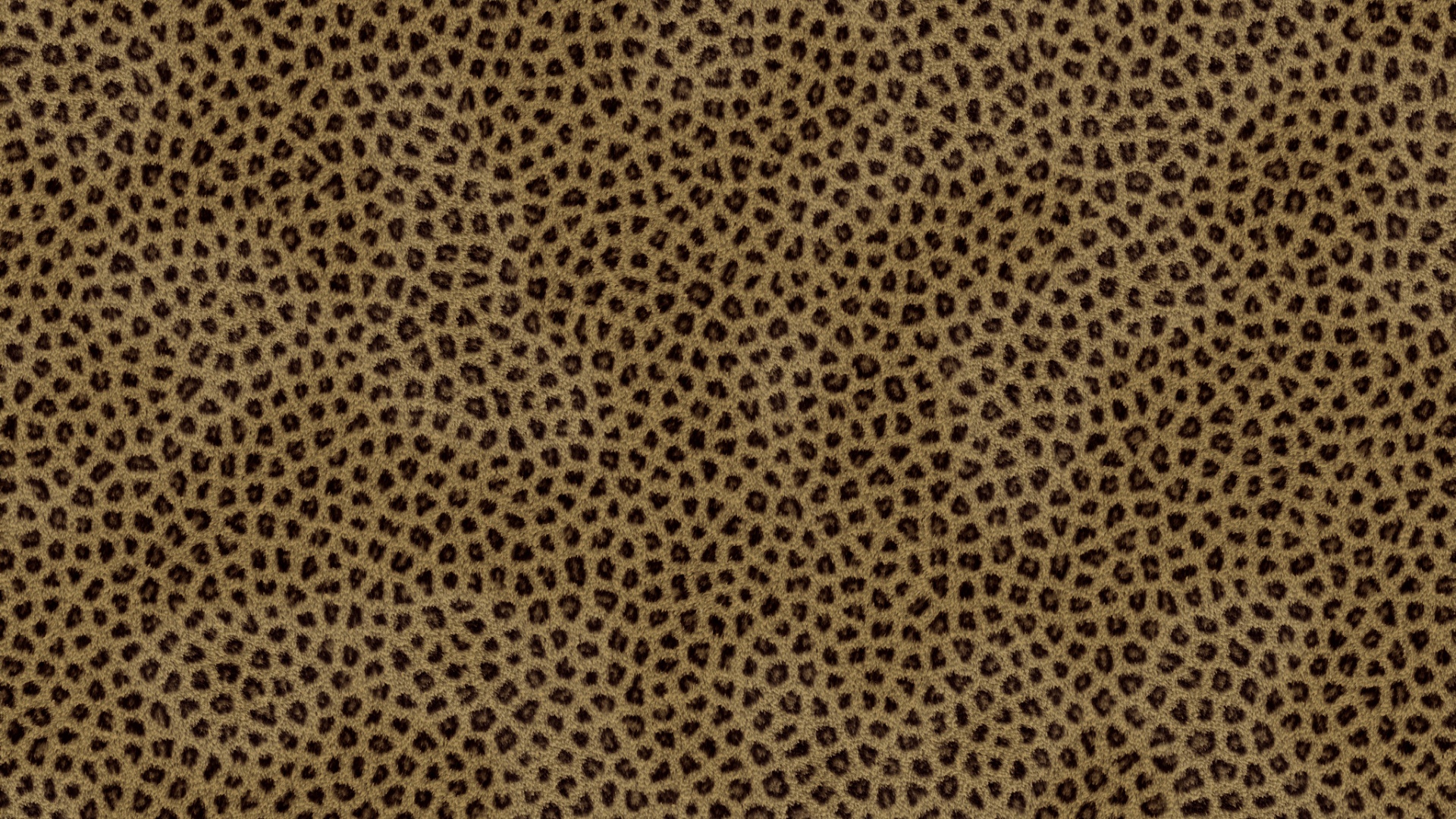 Пятнистая шкура обои