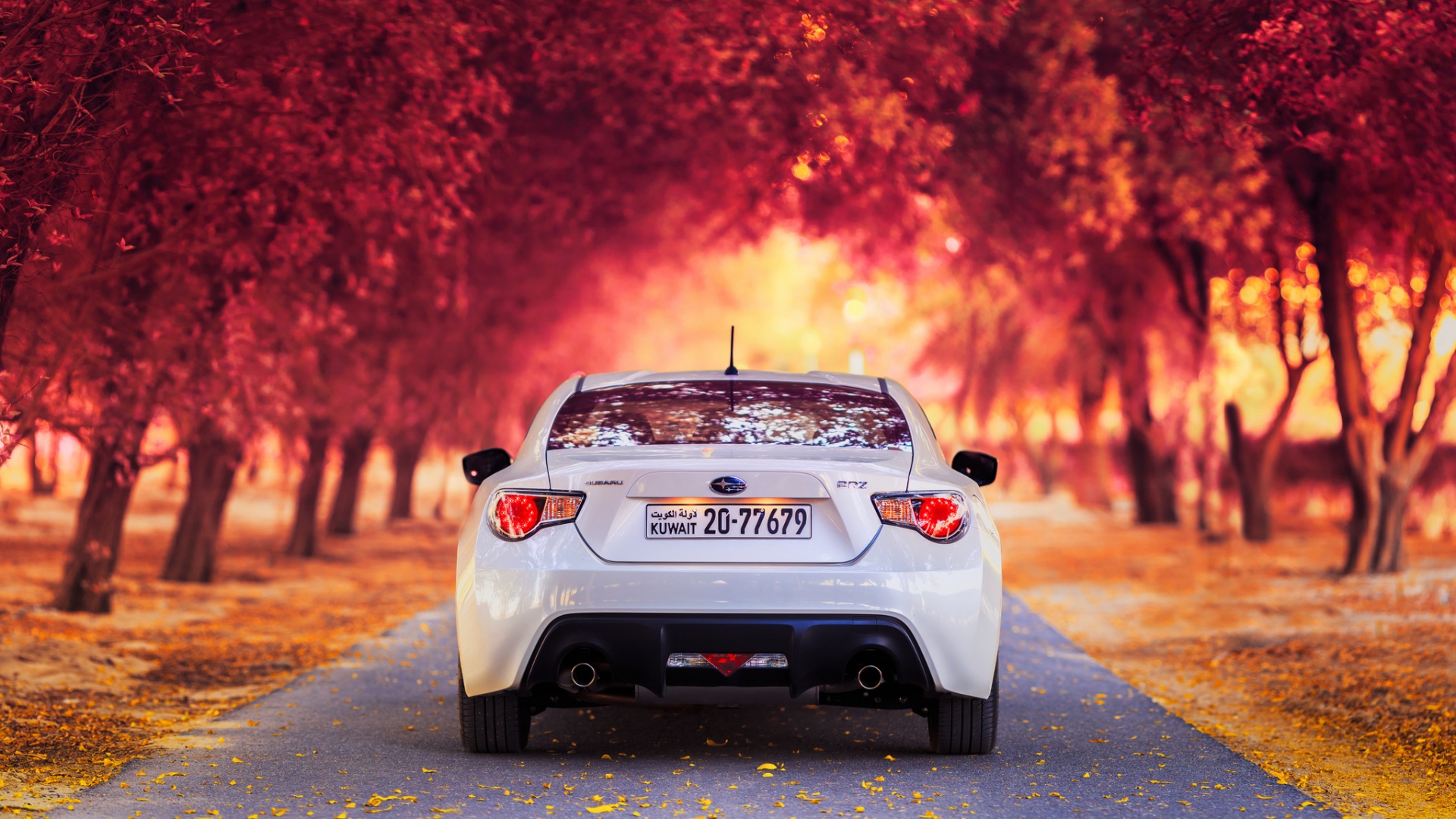Субару на осенней дороге обои