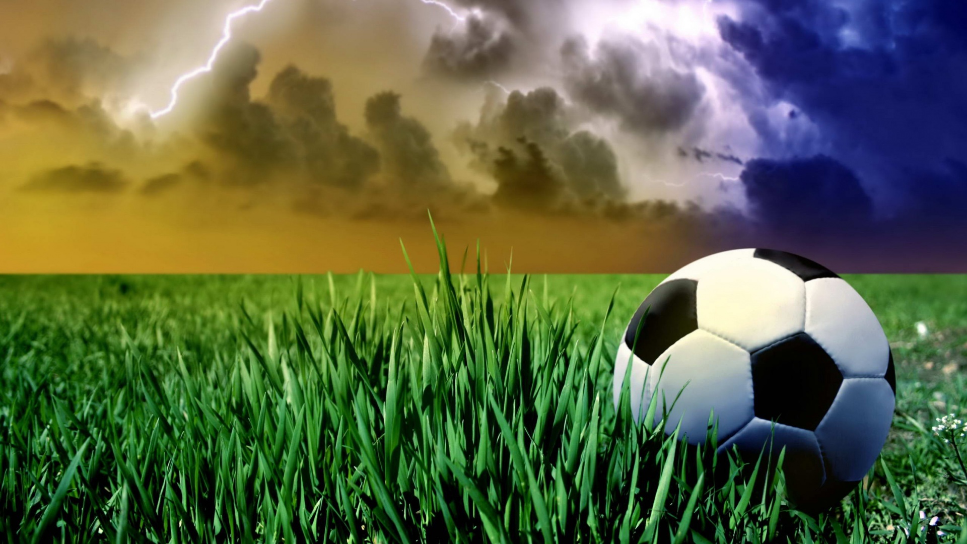 Футбольный мяч на газоне обои