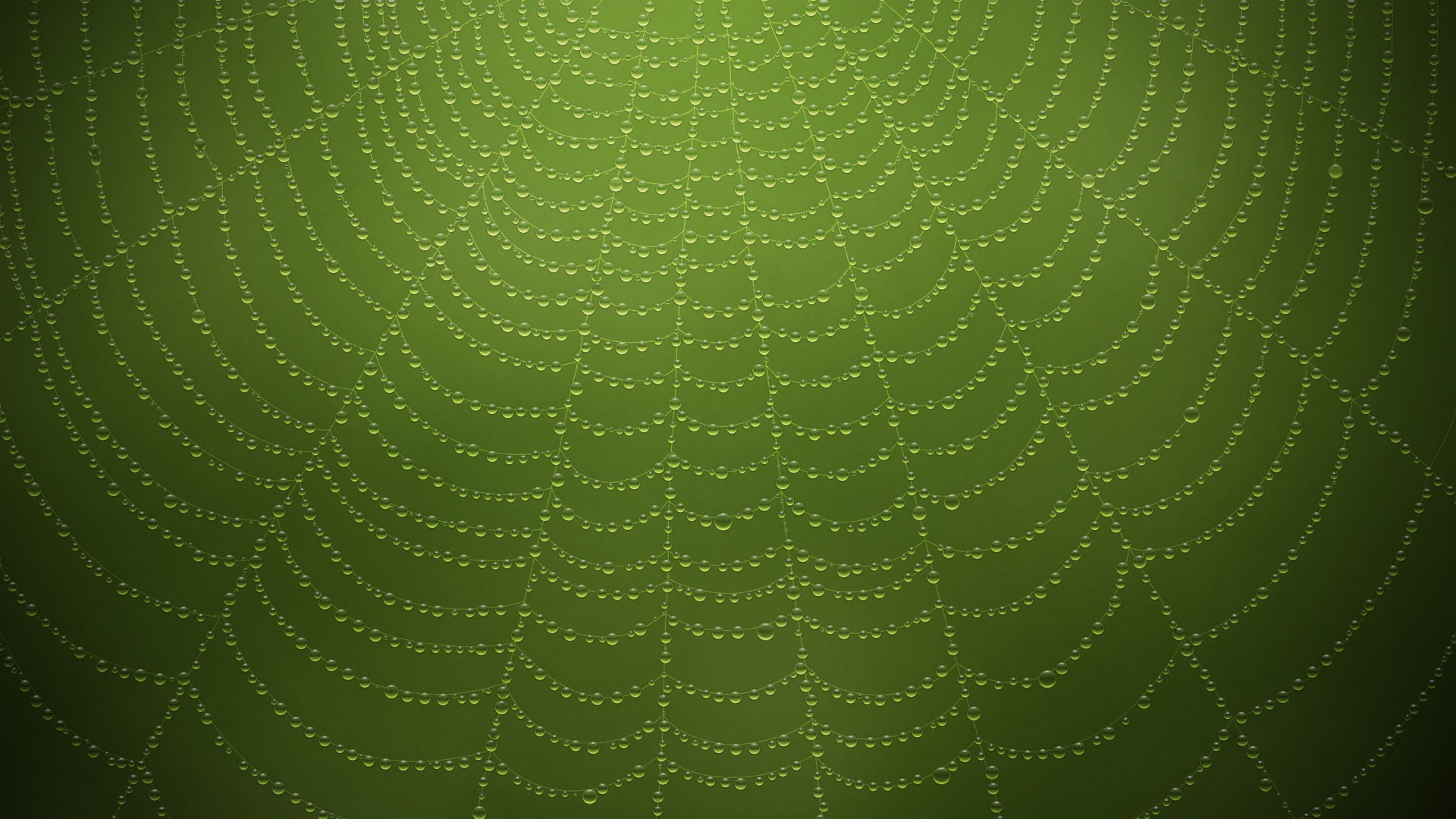 Роса на паутине обои