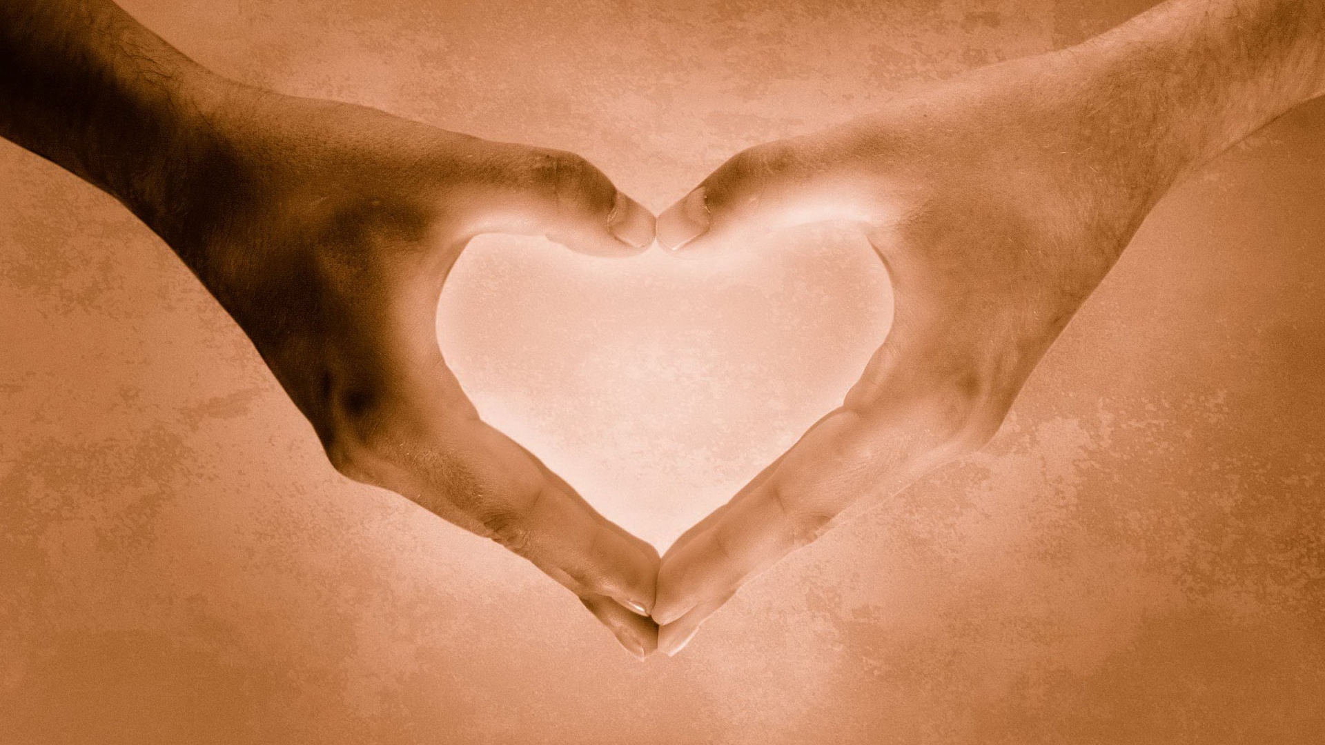 Сердце из сложенных рук обои