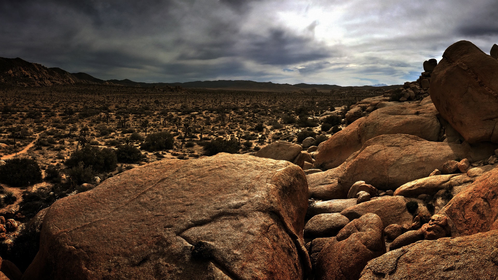 Пустыня Мохаве обои