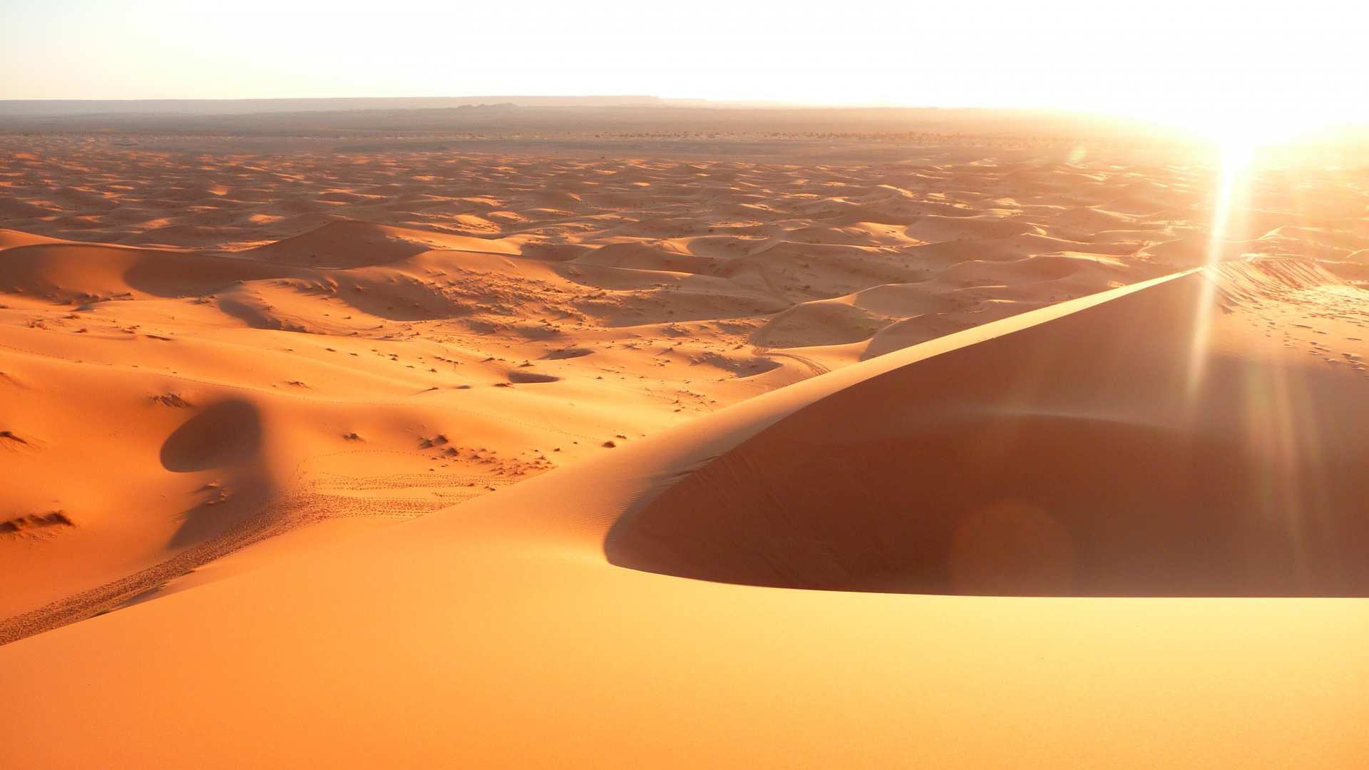 Солнечная пустыня обои