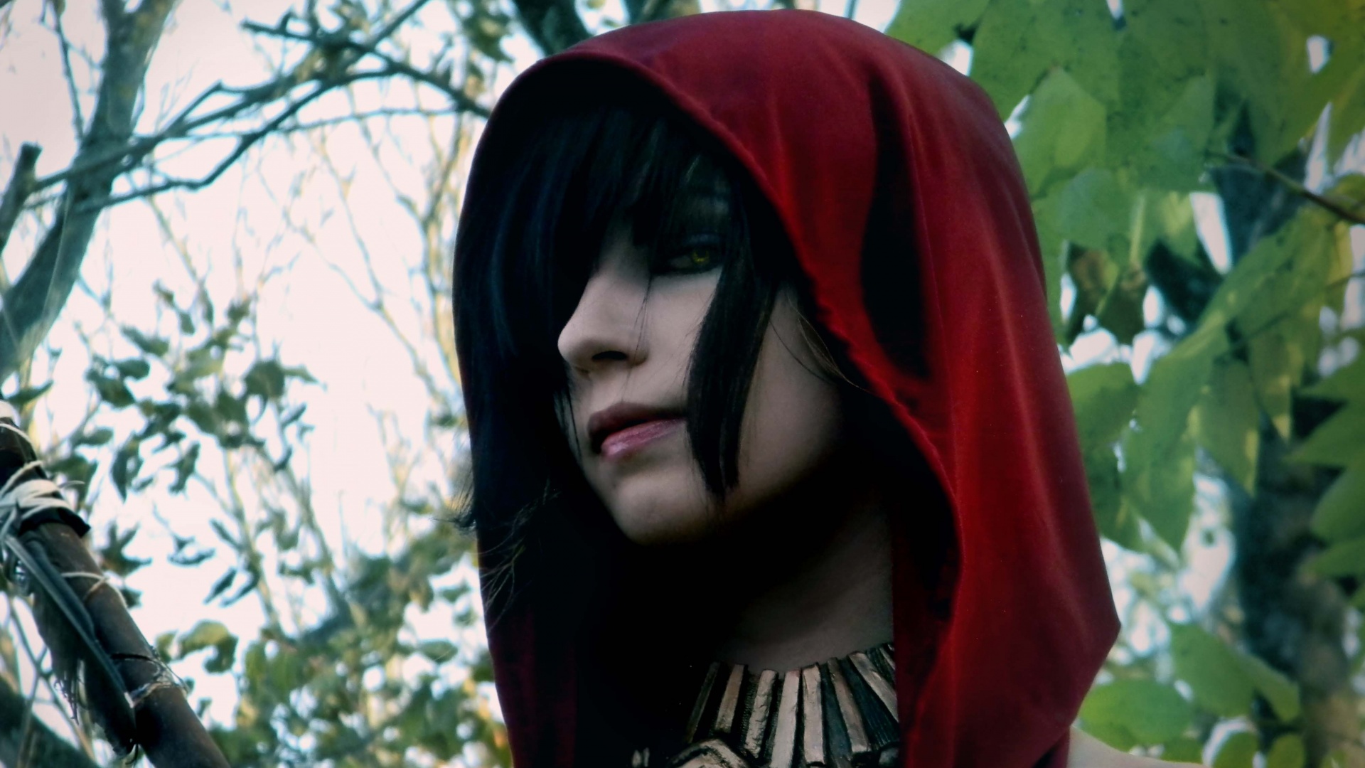 Косплей Морриган обои