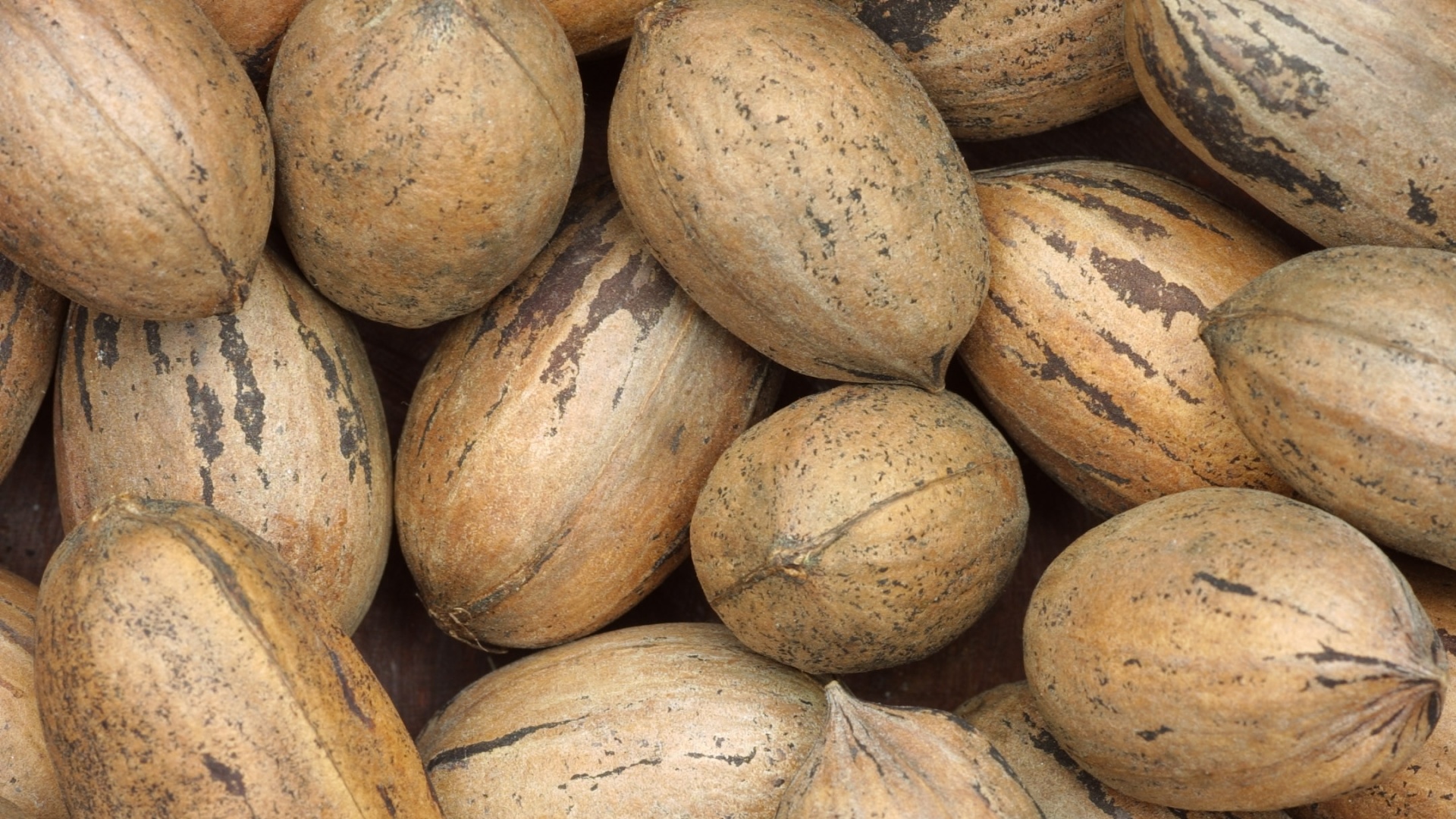 Грецкие орехи обои