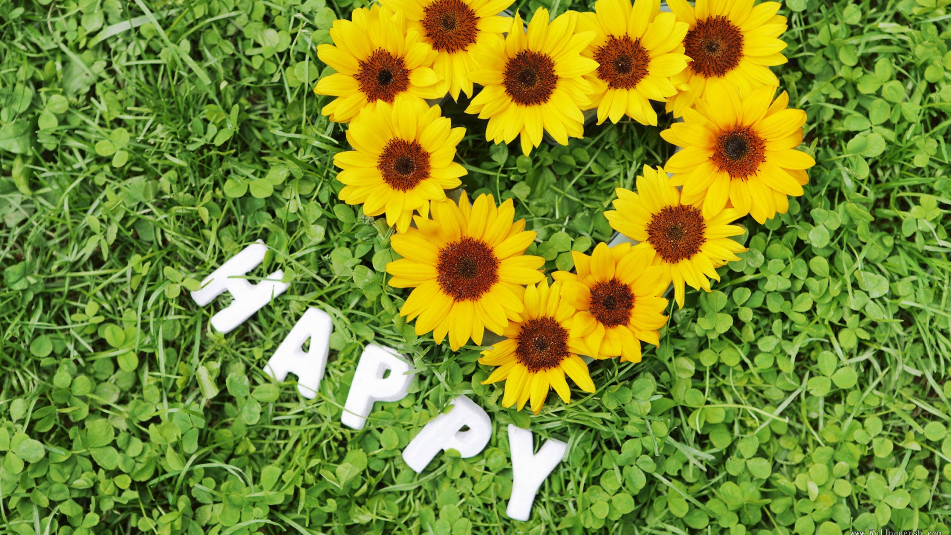 Радость обои