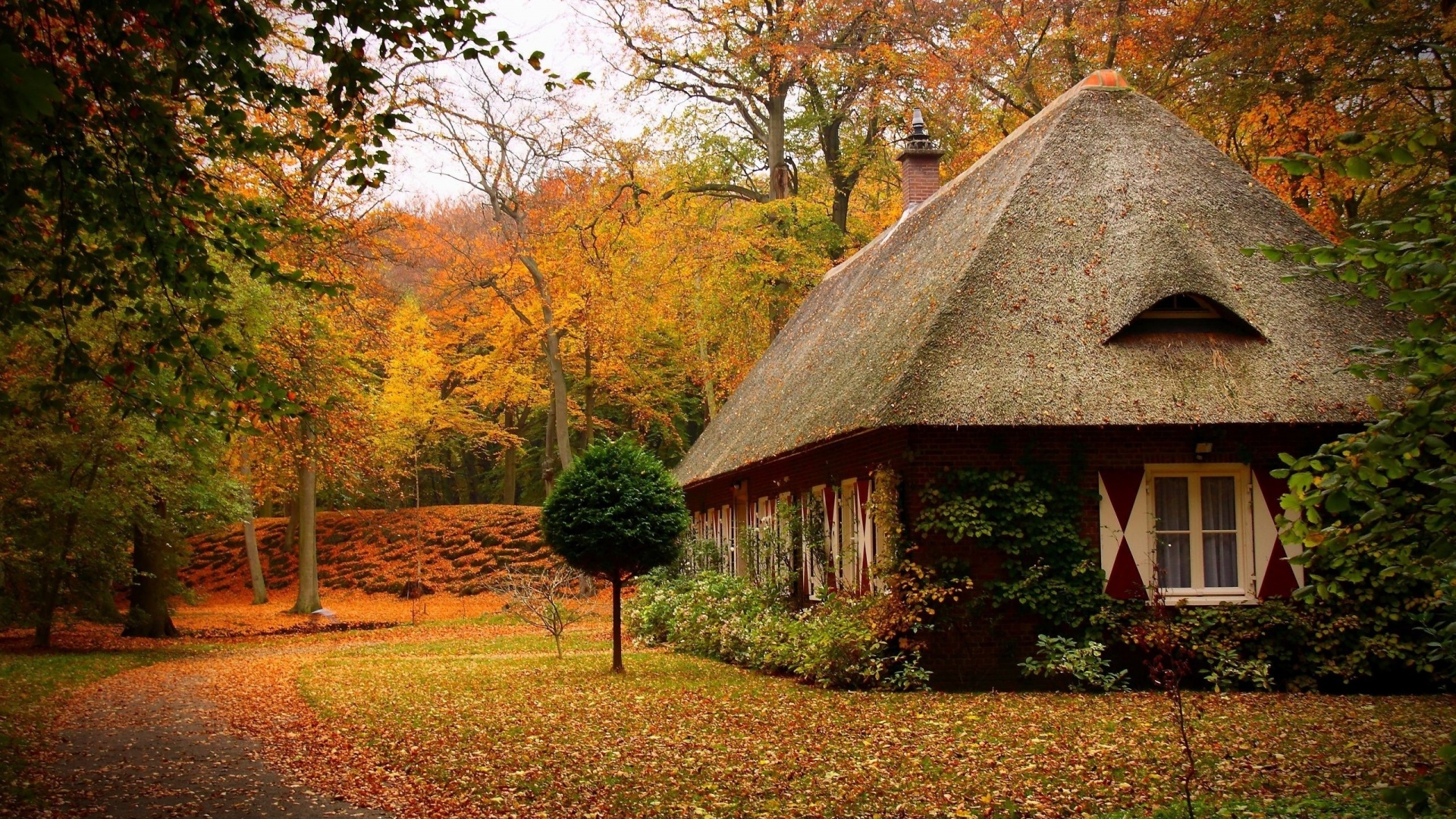 Домик в осеннем лесу обои