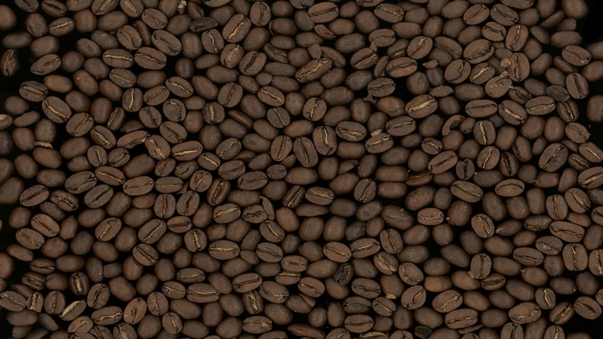 Зерна кофе обои