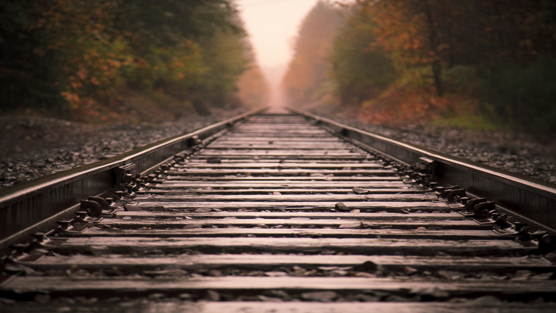 Железная дорога после дождя обои