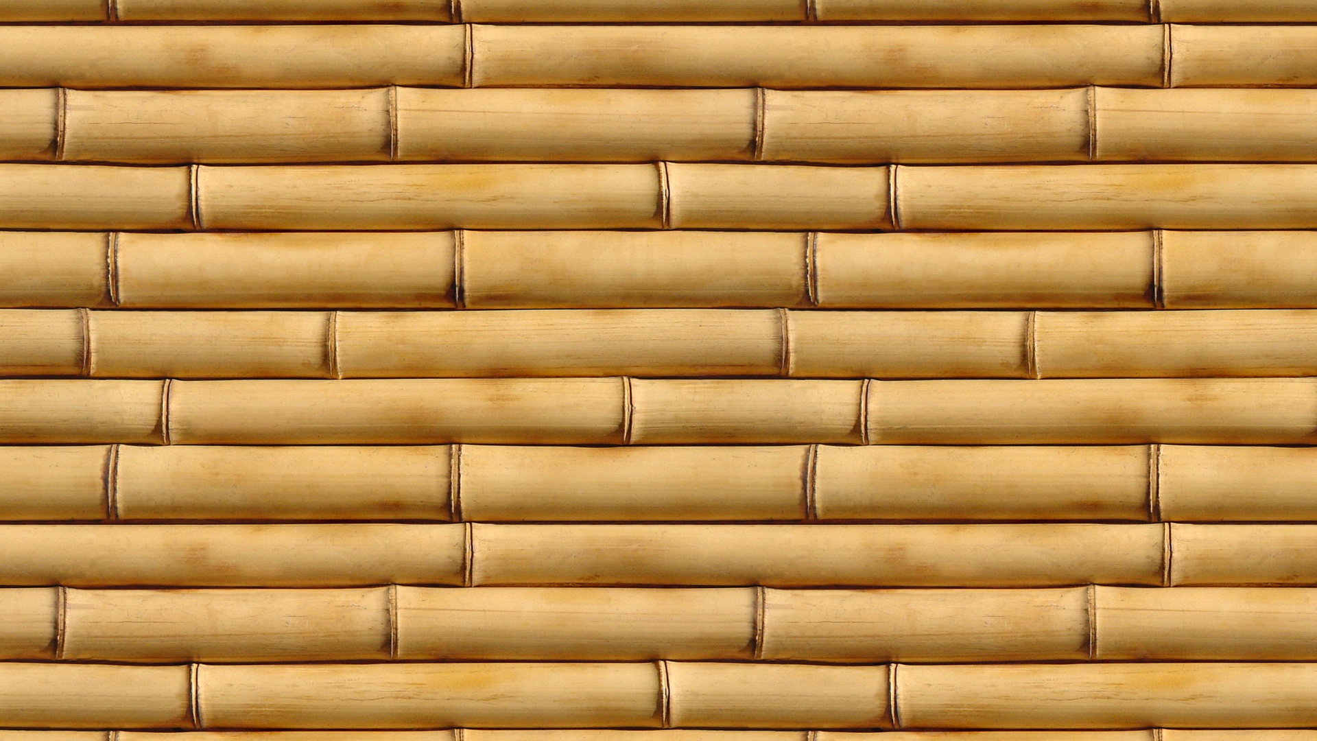 Бамбуковые палки обои