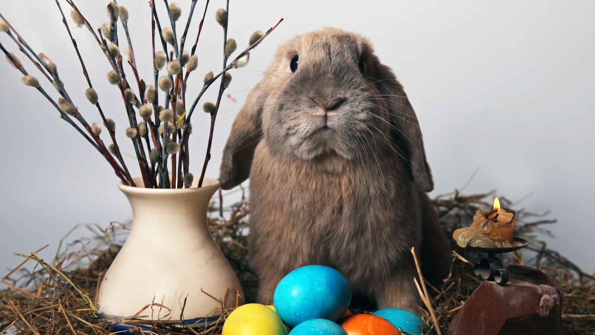 Пасхальный кролик обои
