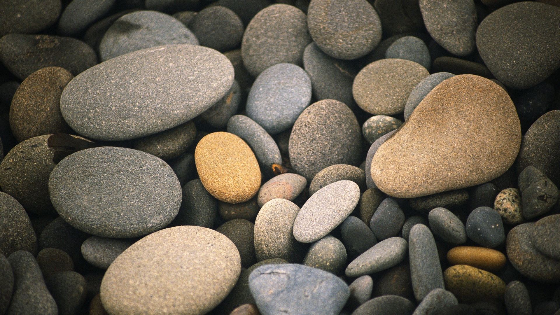 Галька обои