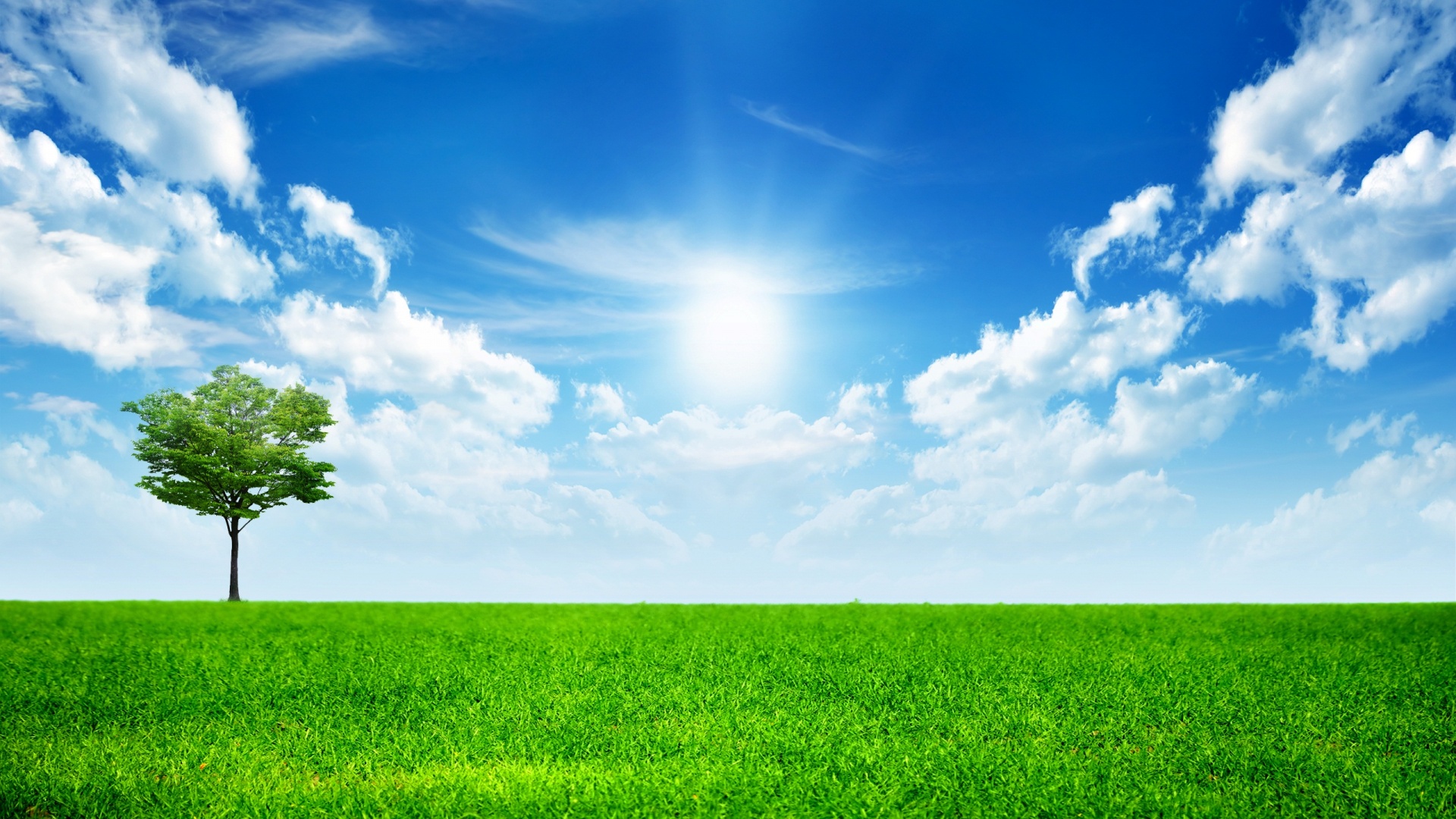 Один в целом мире обои