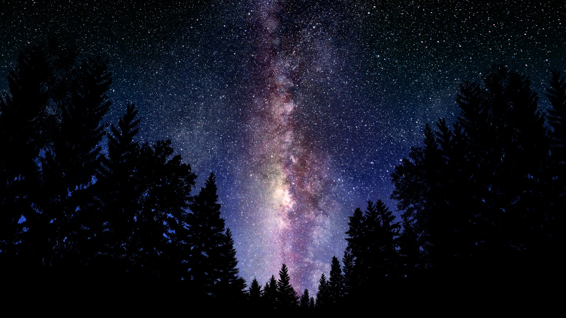 Лесной пейзаж обои