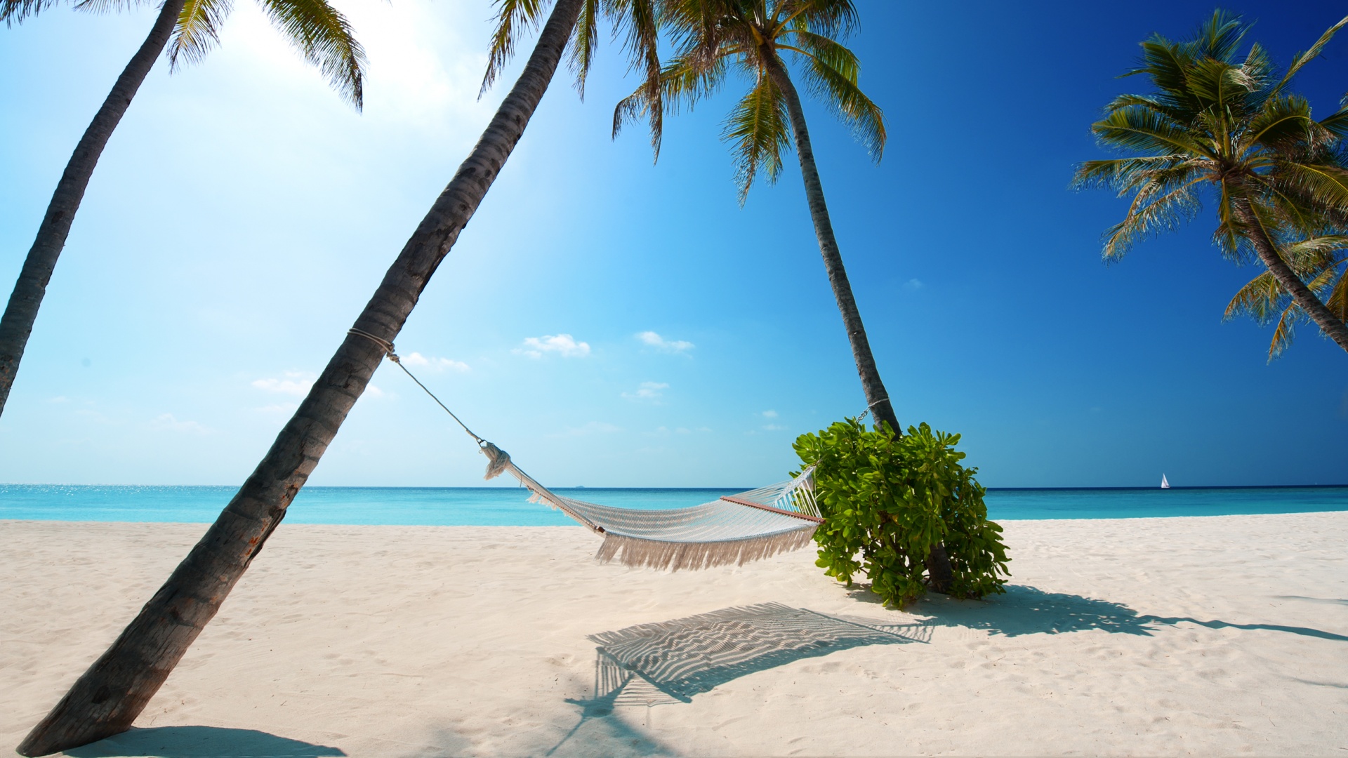 Тропический рай обои