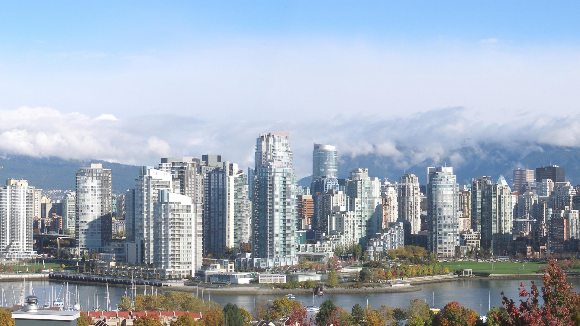 Панорама города обои