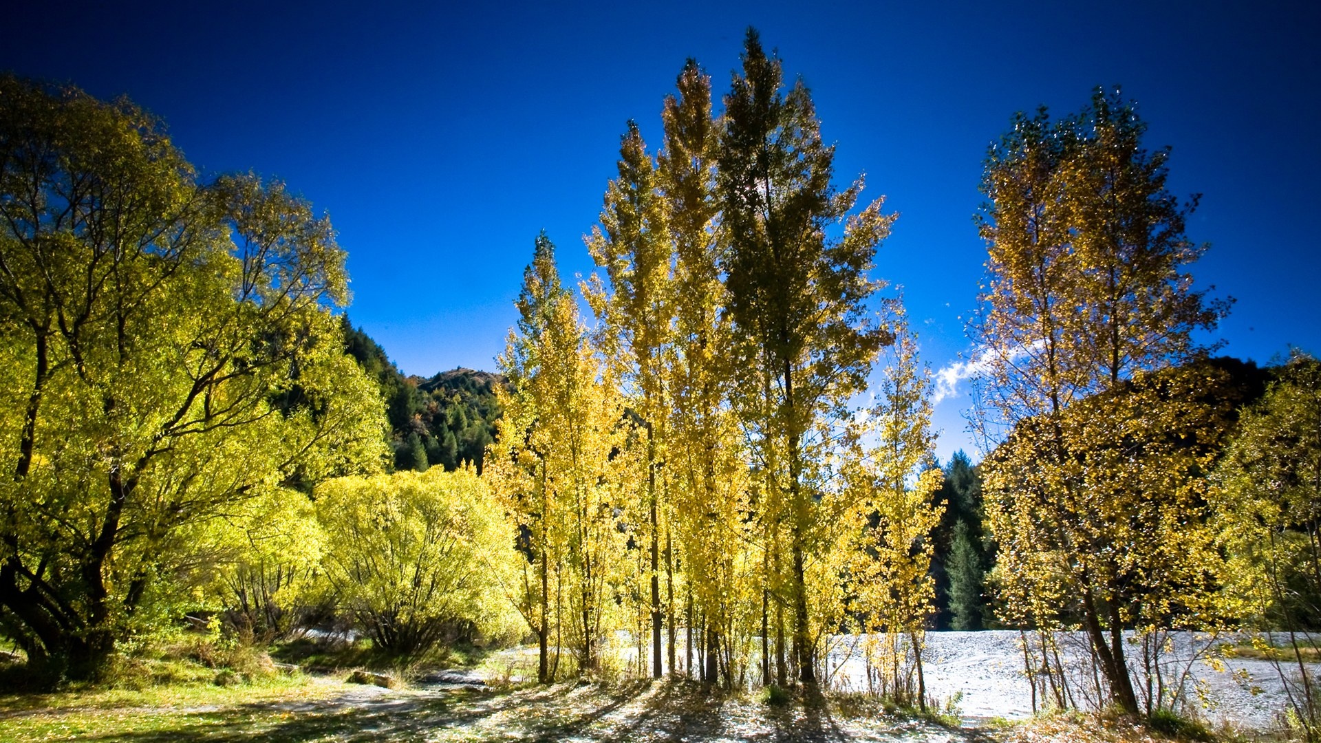 Осень в Новой Зеландии обои