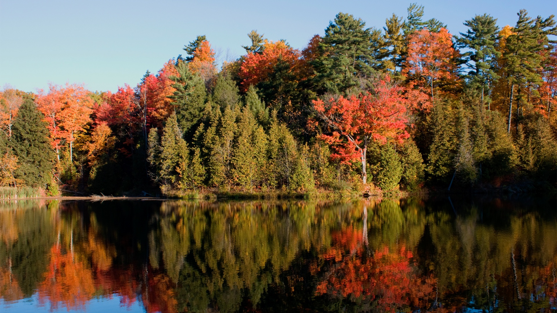 Осенний пейзаж обои