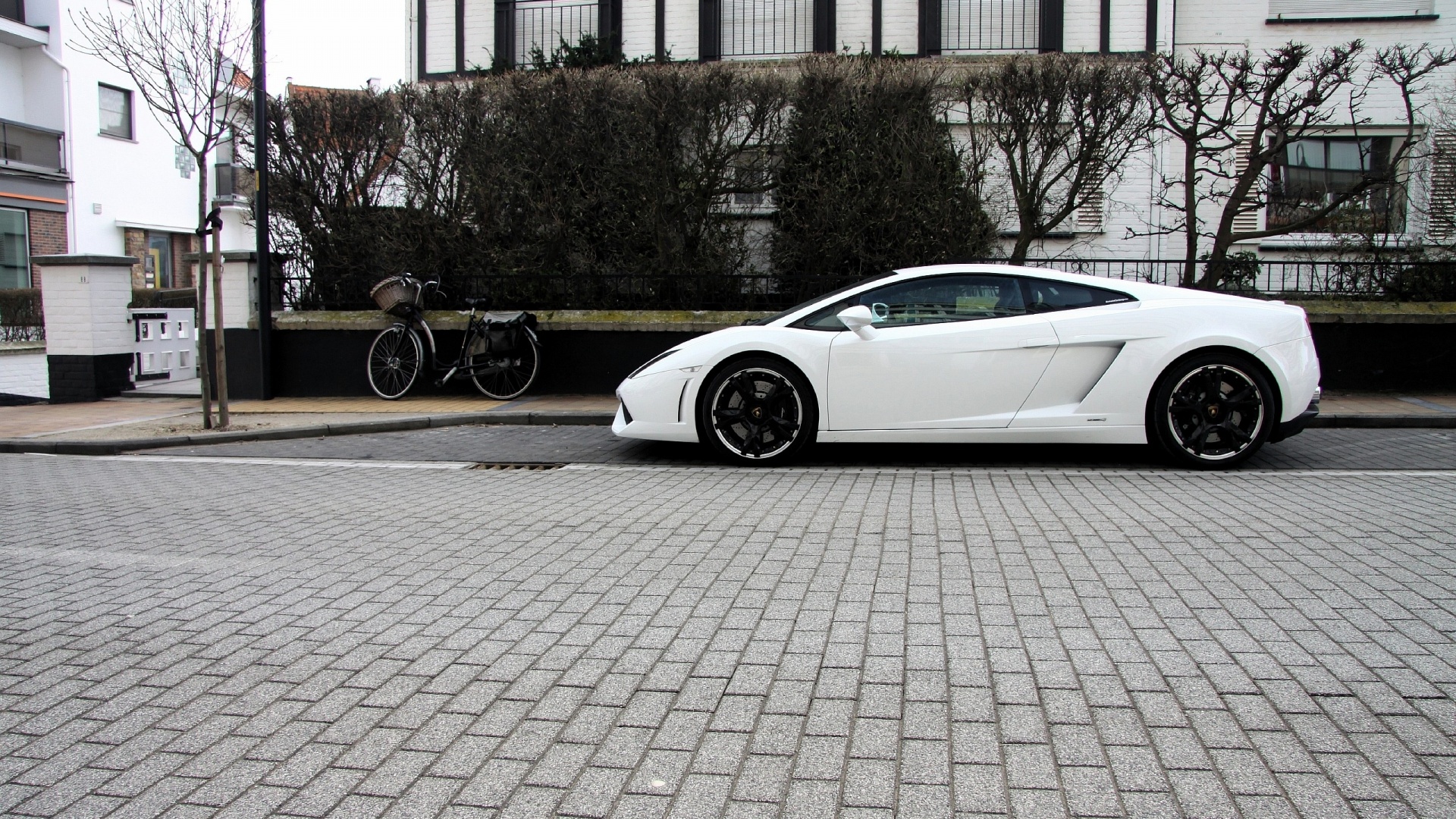 Белый Lamborghini обои
