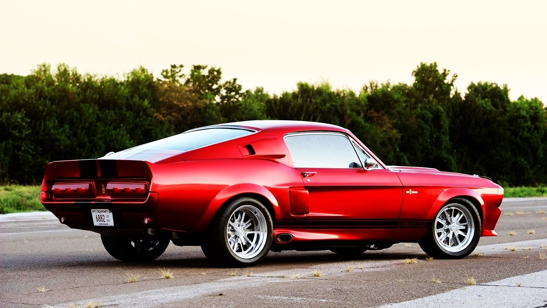 Shelby GT500 CR обои