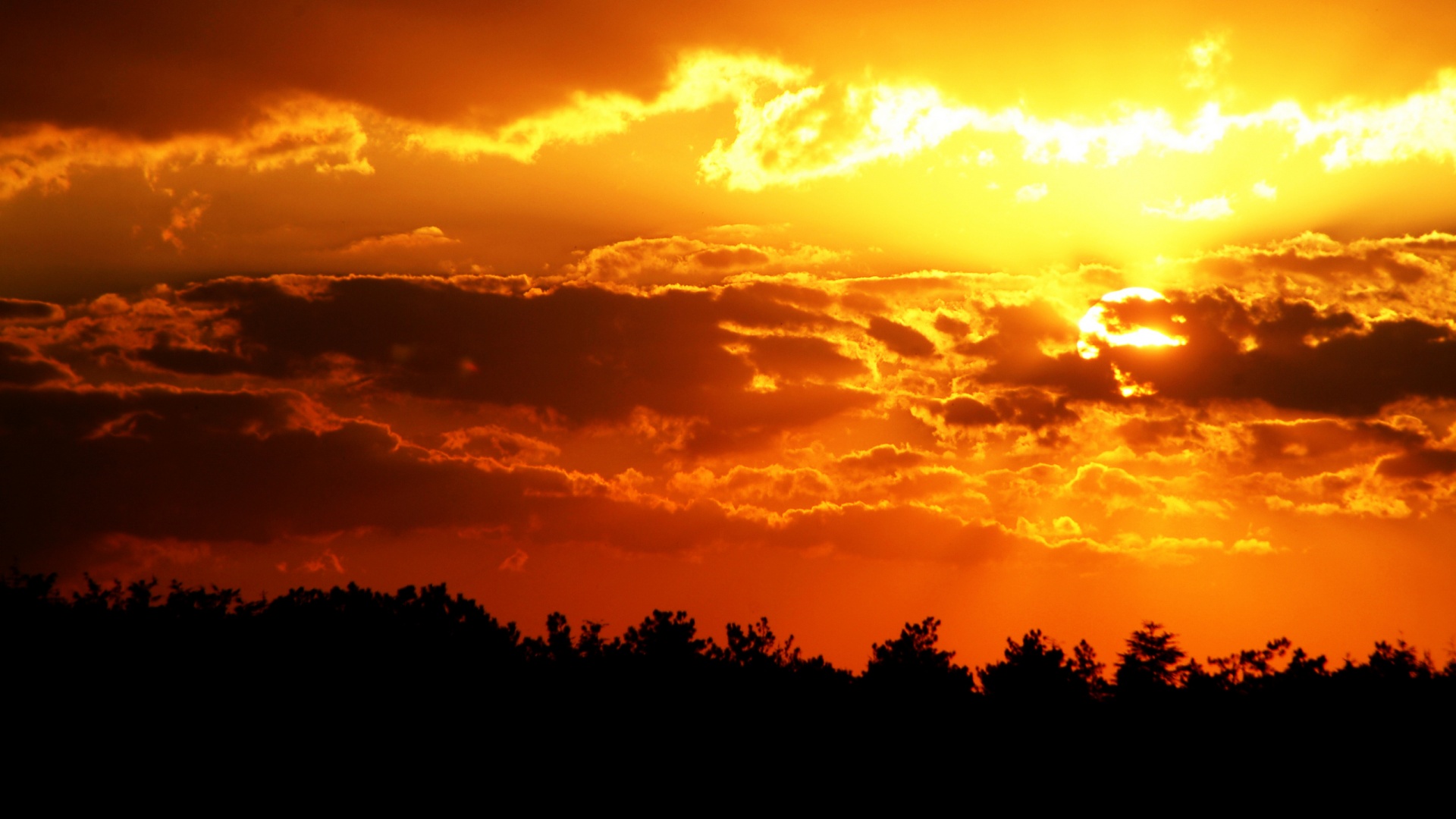 Ярко-оранжевое закатное небо обои