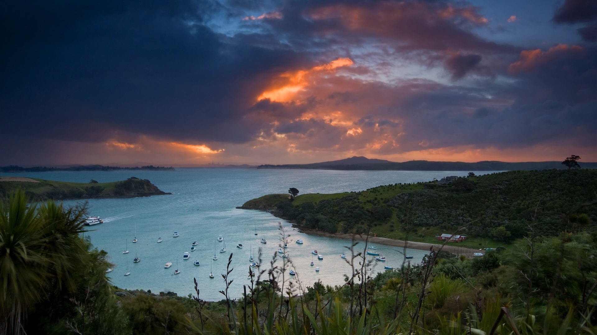 Waiheke Island, New Zealand обои