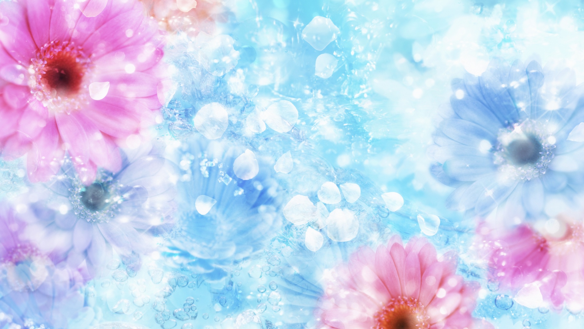 Цветочная эйфория обои