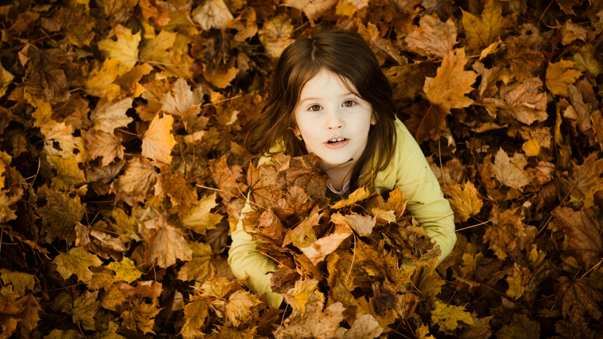 Девочка и осень обои
