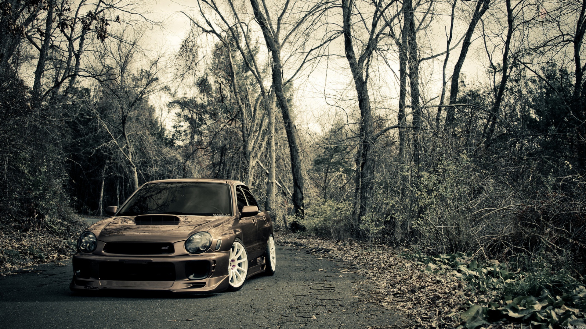 Субару Импреза на лесной дороге обои