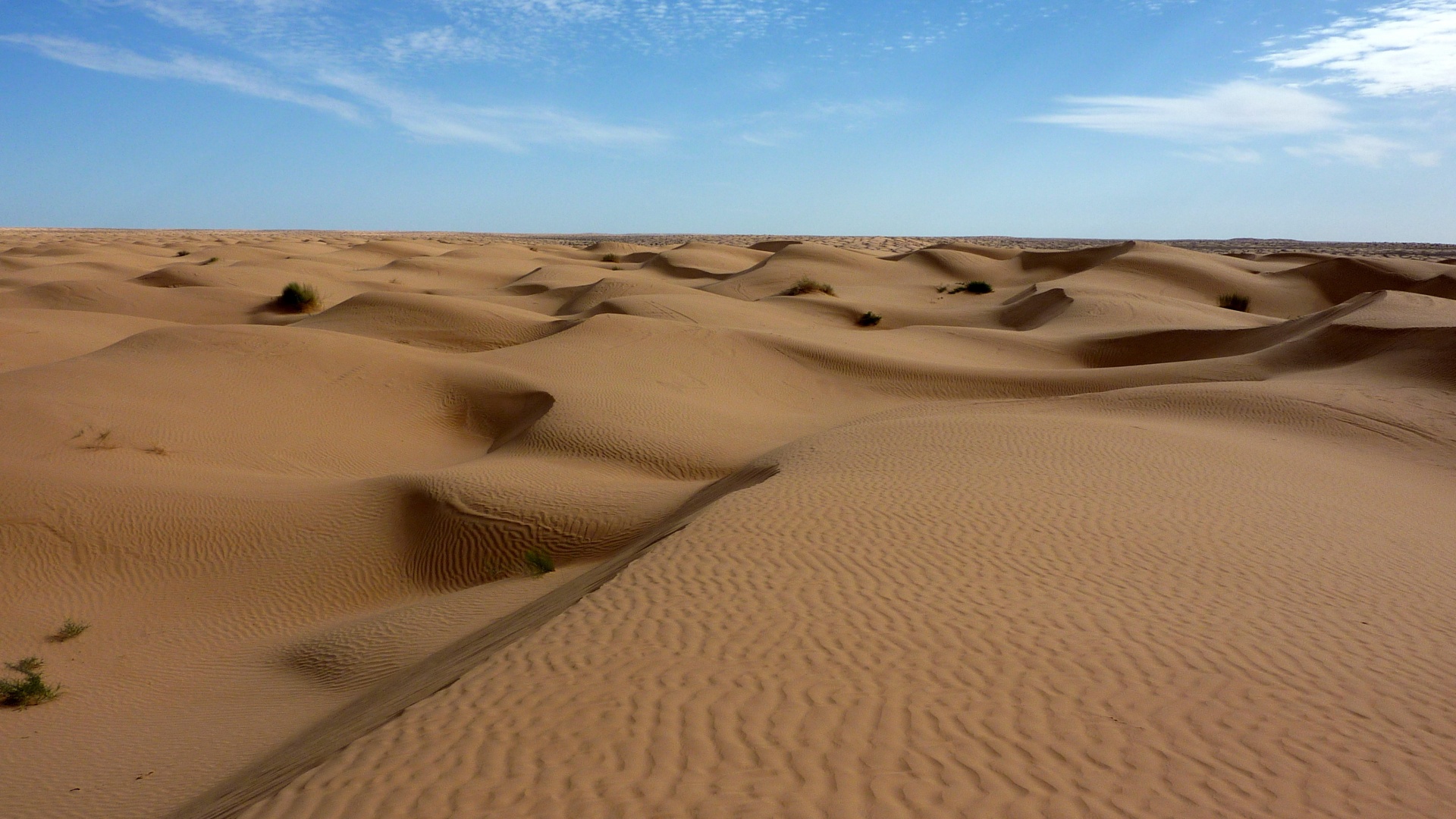 Пустыня до самого горизонта обои