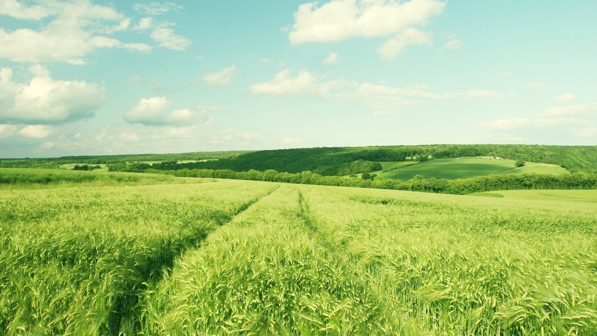 Бескрайние просторы обои